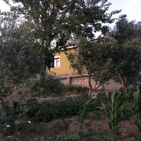 Apartment The Armand Village And Beach Experience Vane